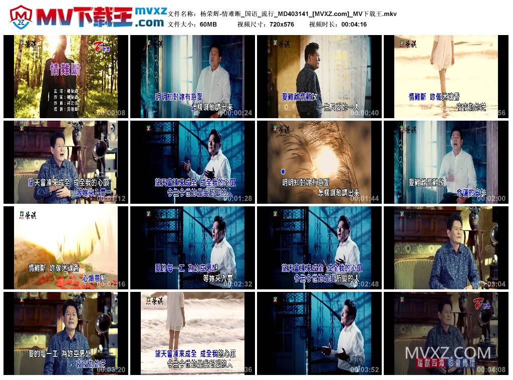 杨荣辉-情难断_国语_流行_MD403141